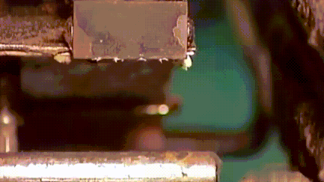 1718325433740273.gif image007.gif